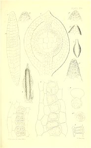 n554_w1150