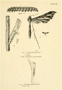 n58_w1150