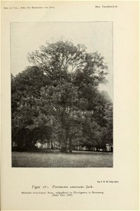 n186_w1150