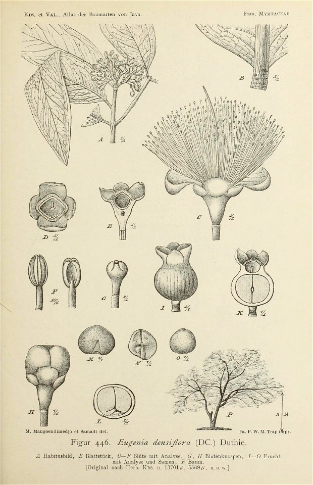 n110_w1150