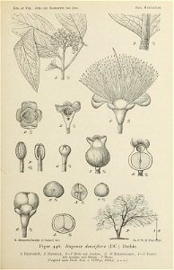 n110_w1150