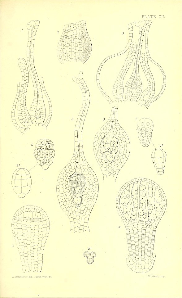 n536_w1150