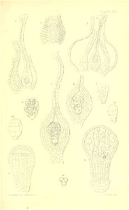 n536_w1150