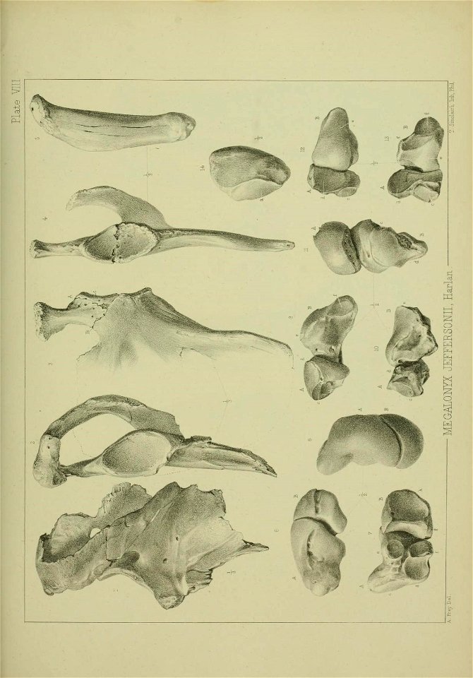n368_w1150