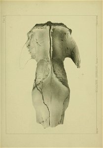 n356_w1150