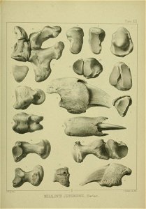 n378_w1150