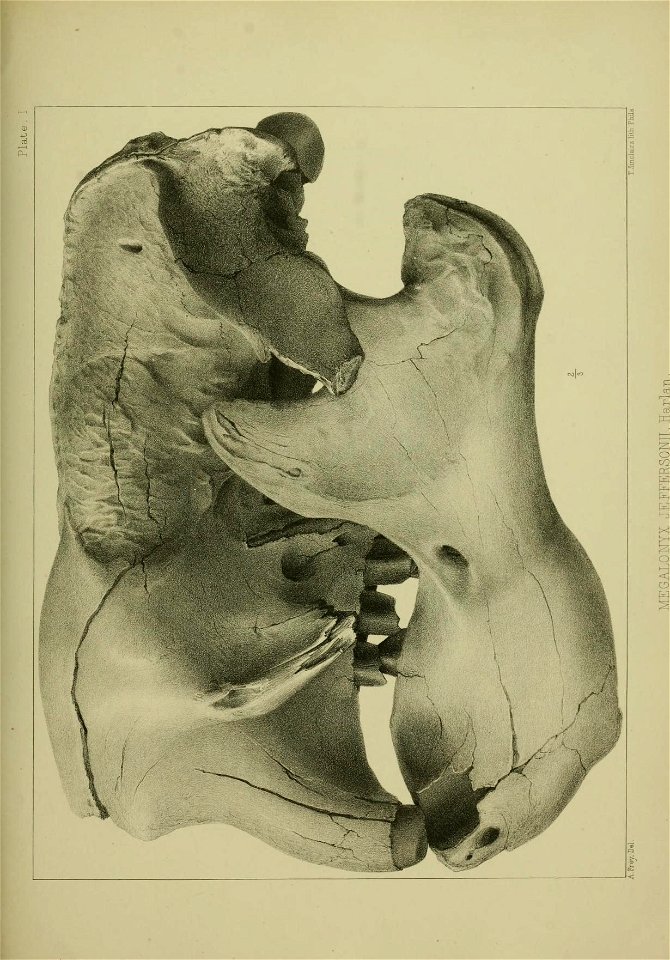 n354_w1150