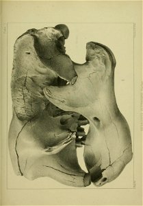 n354_w1150