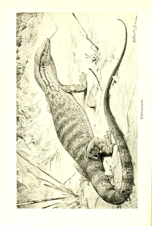n181_w1150