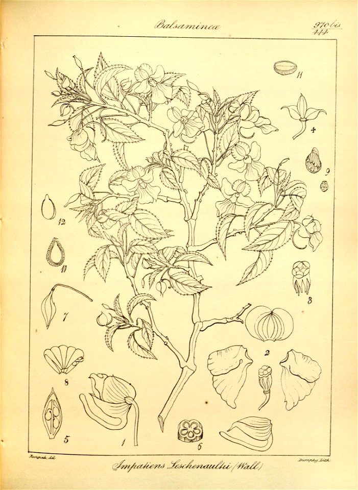 n298_w1150