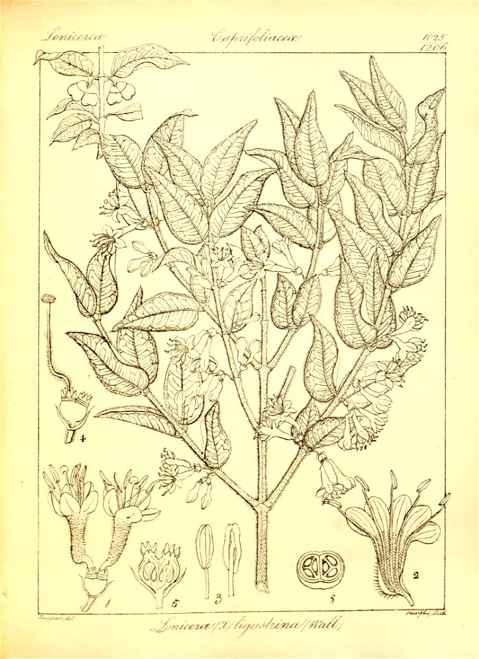 n353_w1150