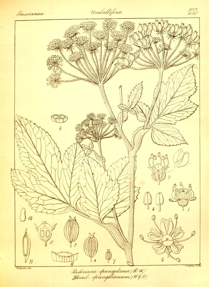 n338_w1150