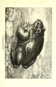 n314_w1150