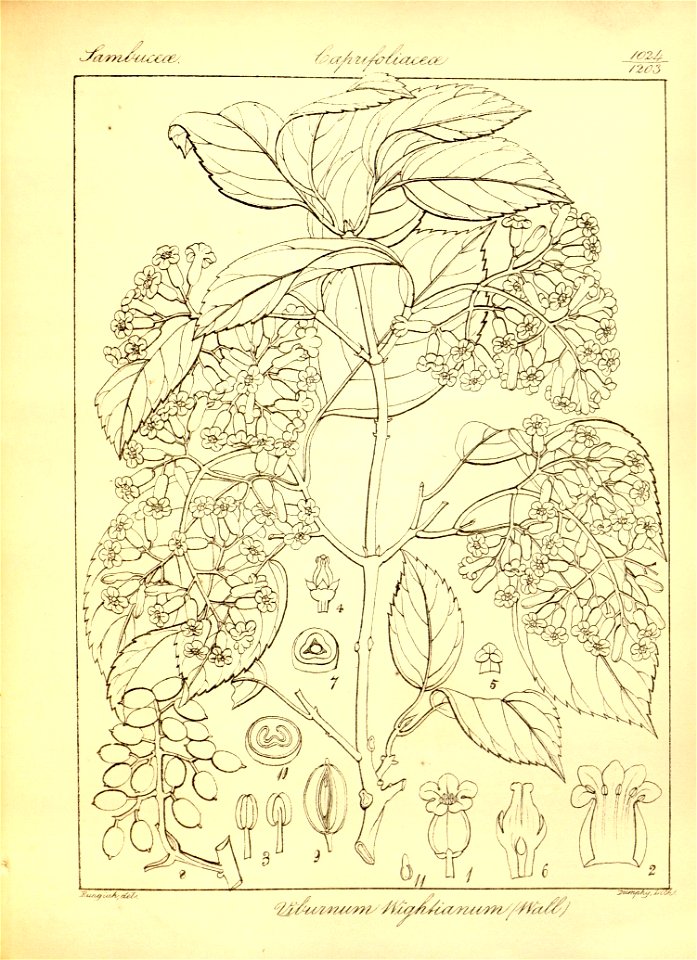 n352_w1150