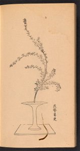 n55_w1150