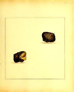 n206_w1150