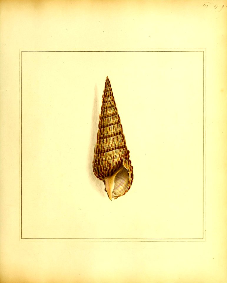 n176_w1150