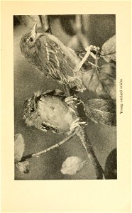 n196_w1150