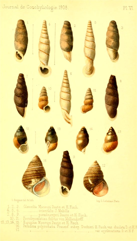 n462_w1150