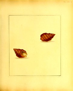 n172_w1150