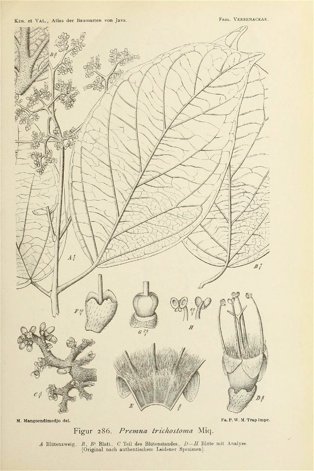 n196_w1150