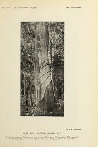 n164_w1150