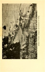 n332_w1150