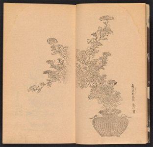 n6_w1150