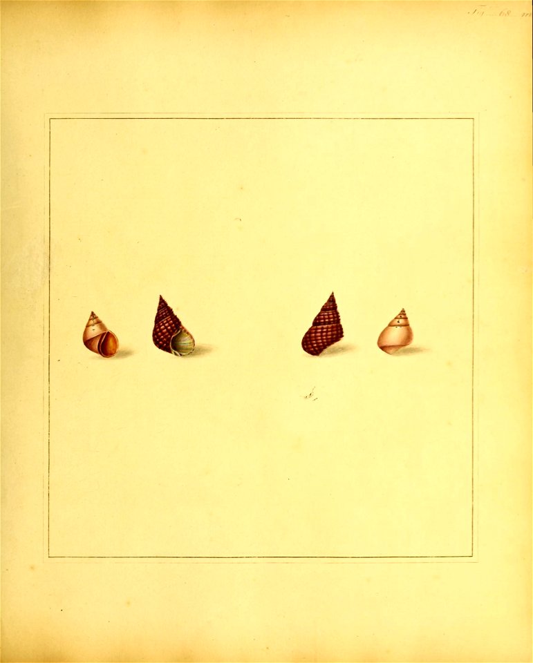 n198_w1150