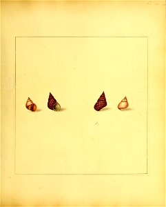 n198_w1150