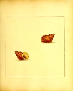 n168_w1150