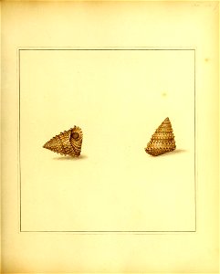 n138_w1150