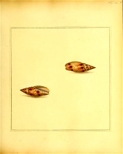 n108_w1150
