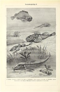 n613_w1150