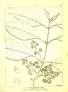 n461_w1150
