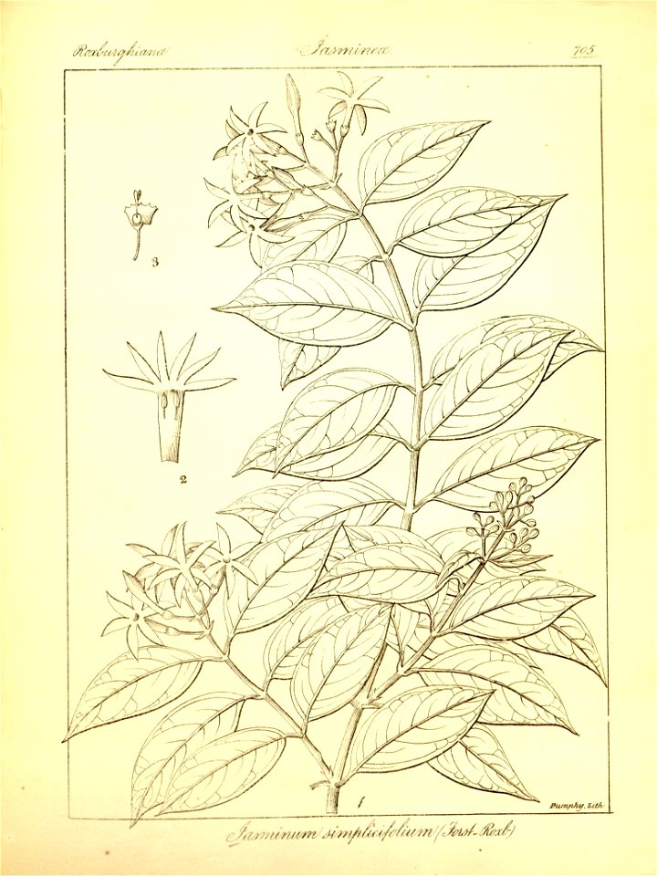 n431_w1150