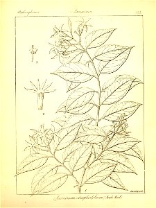 n431_w1150