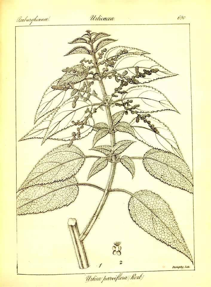 n416_w1150