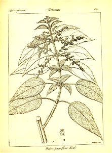 n416_w1150