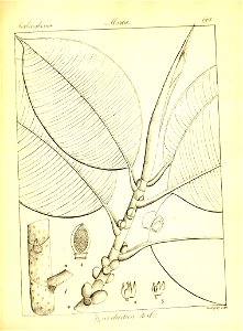 n389_w1150