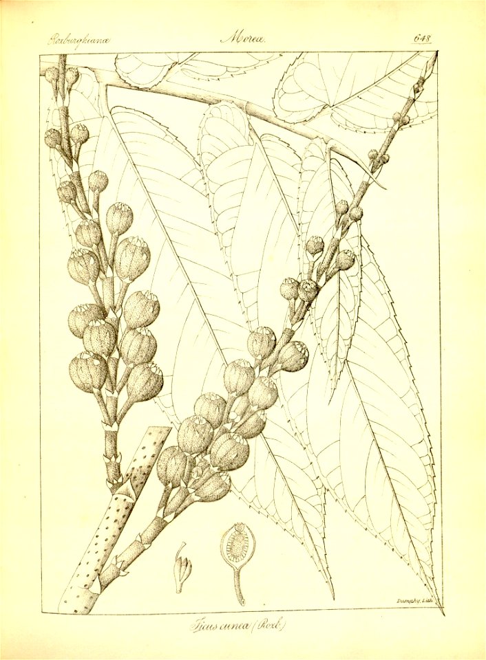 n374_w1150