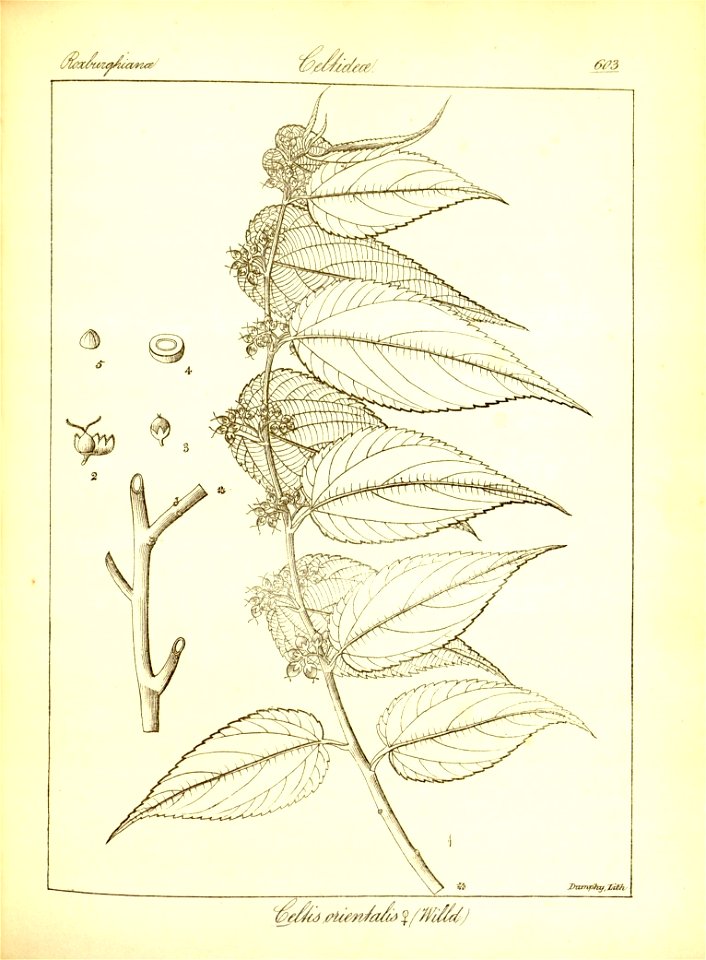 n329_w1150