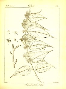 n329_w1150