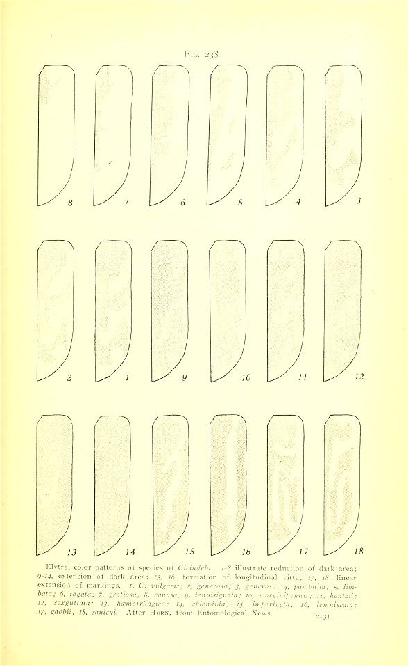 n232_w1150