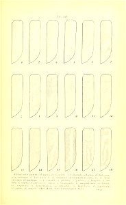 n232_w1150
