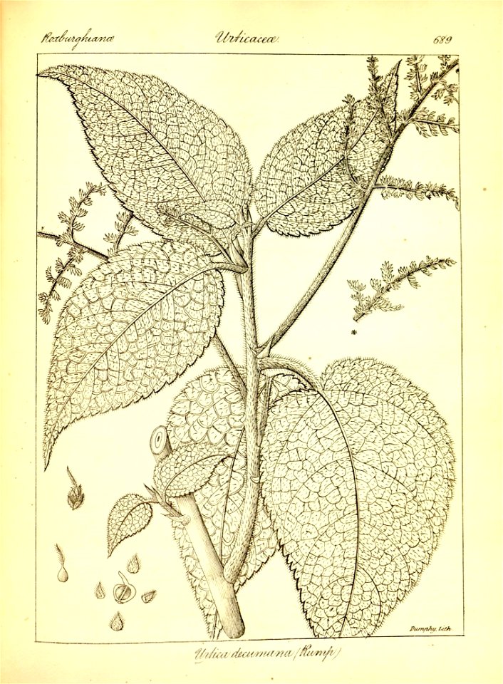 n415_w1150