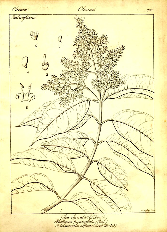 n462_w1150