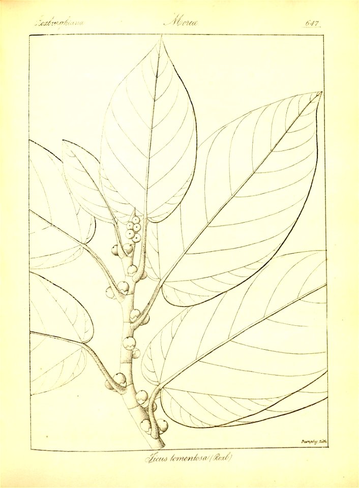 n373_w1150