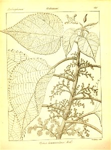 n414_w1150