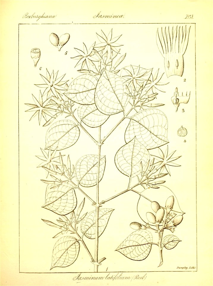 n429_w1150
